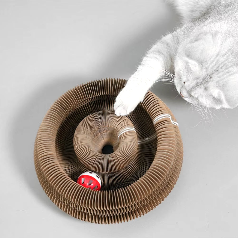 PurrfectScratch Magic Organ Cat Scratching Board – Interactive Claw Grinder & Fun Toy for Cats